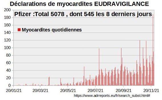 Myocardites